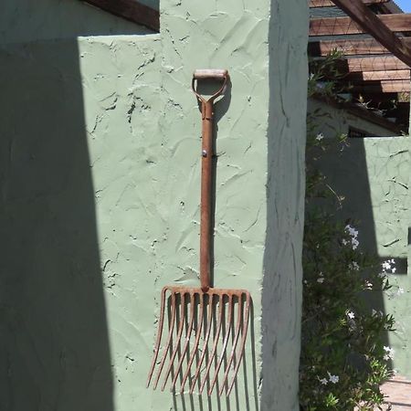 Die Windpomp Gastehuis Beaufort West Exteriör bild